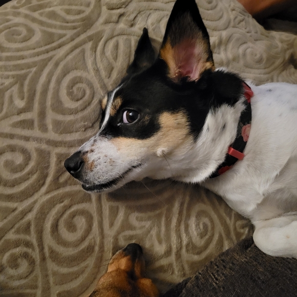 WHAT!!$2 - Picture 1 of 1